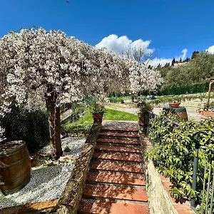 agriturismo-tassinaia.it-tuscanyhotel.com/